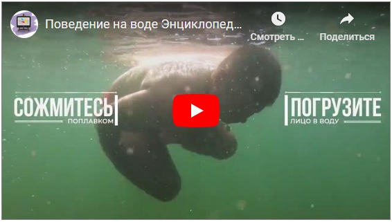 Смотреть